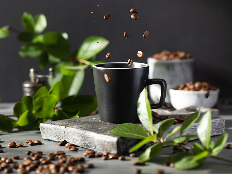 Cafeicultura