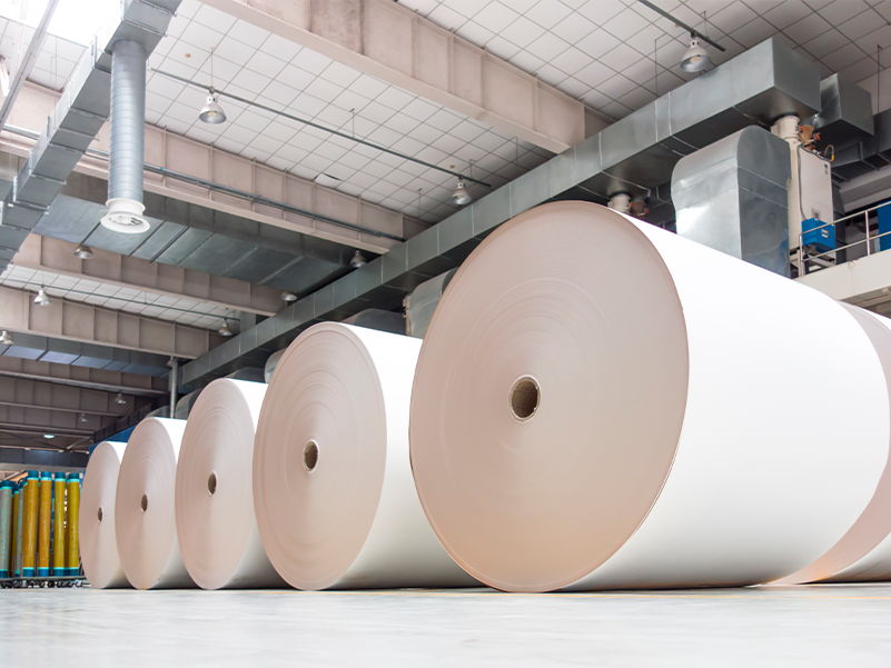 Papel e Celulose